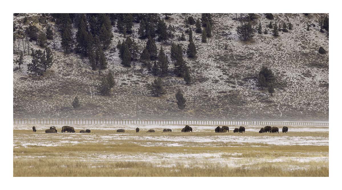 Grand Teton NP